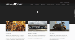 Desktop Screenshot of nelsonstark.com